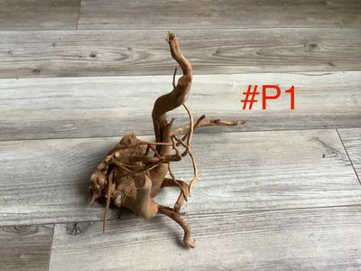 Wood for terrariums and aquariums Small