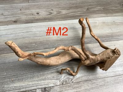 Wood branch for terrariums and aquariums Medium