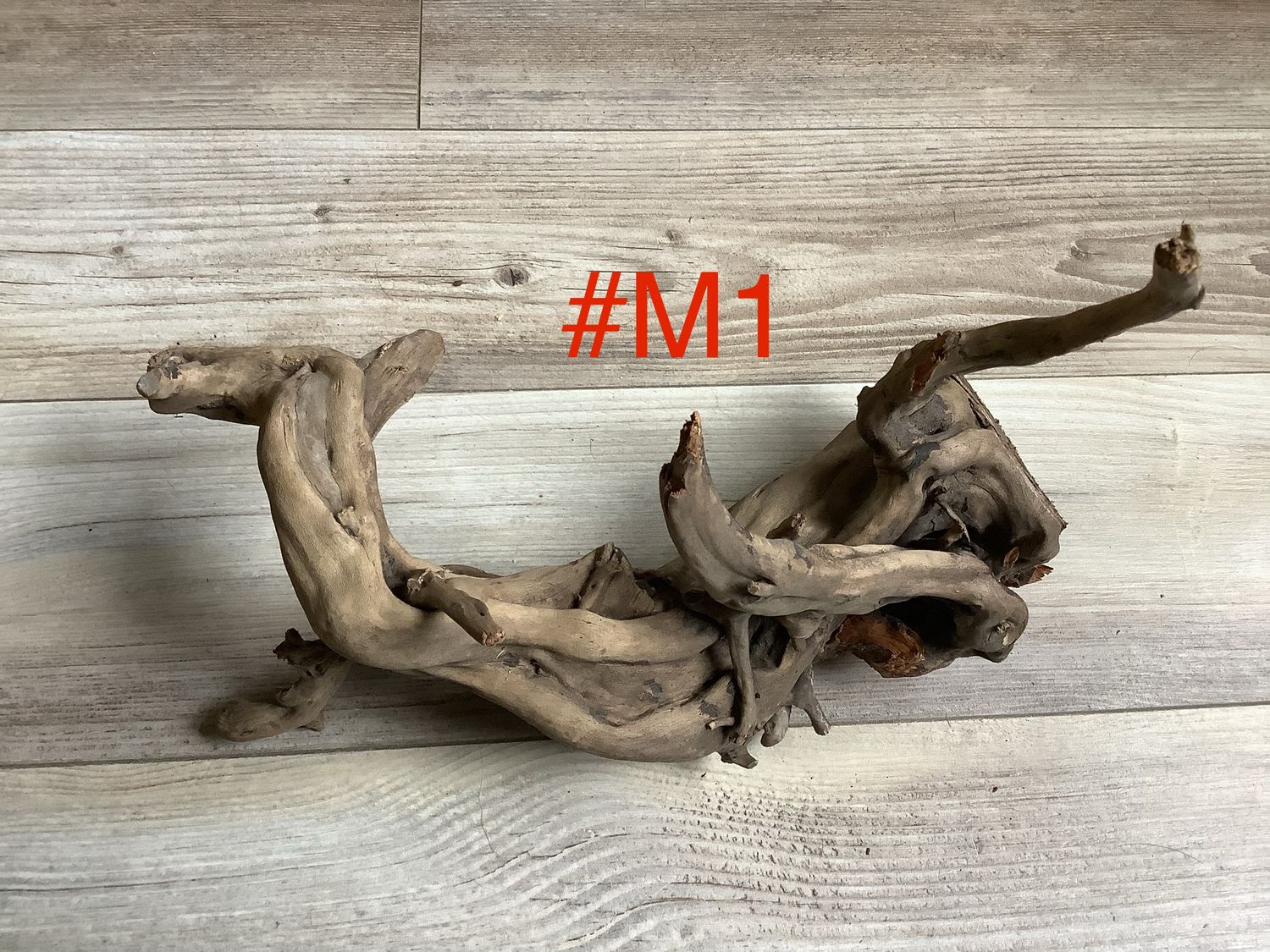 Wood for terrariums and aquariums Medium