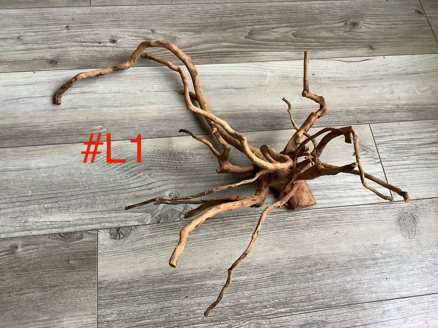 Wood for terrariums and aquariums Large