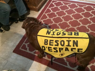 Yellow vest “Need space”
