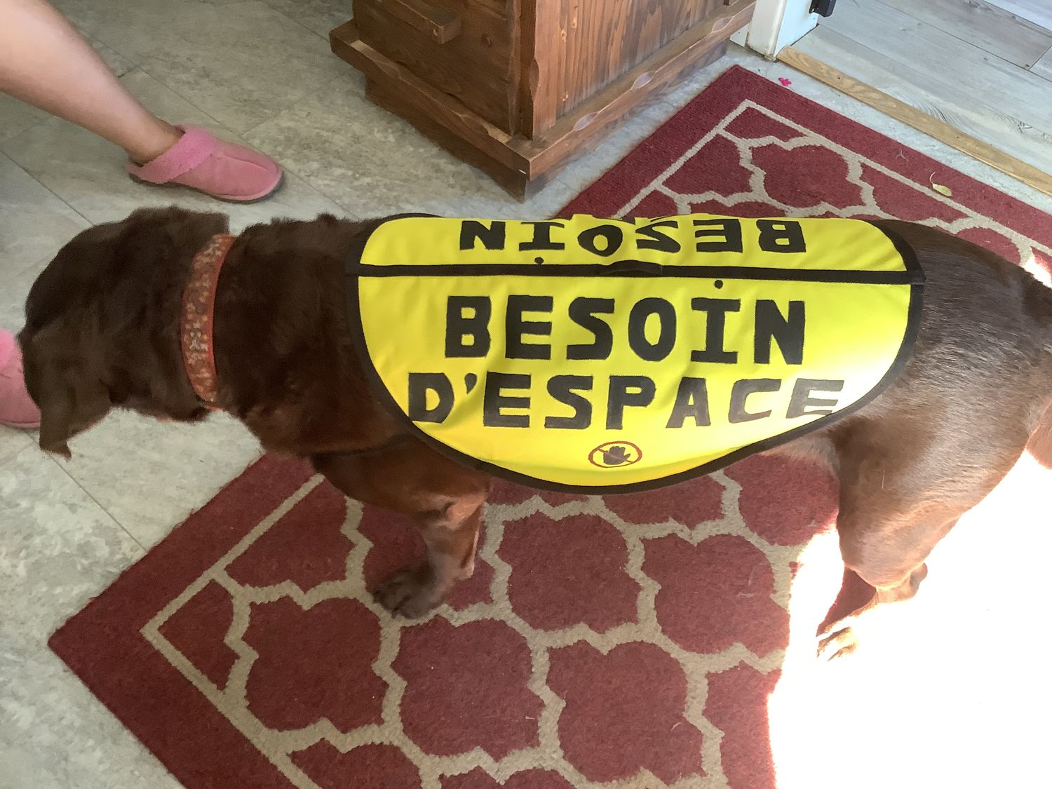 Yellow vest “Need space”