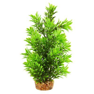 Hygro Tree - 8&quot;