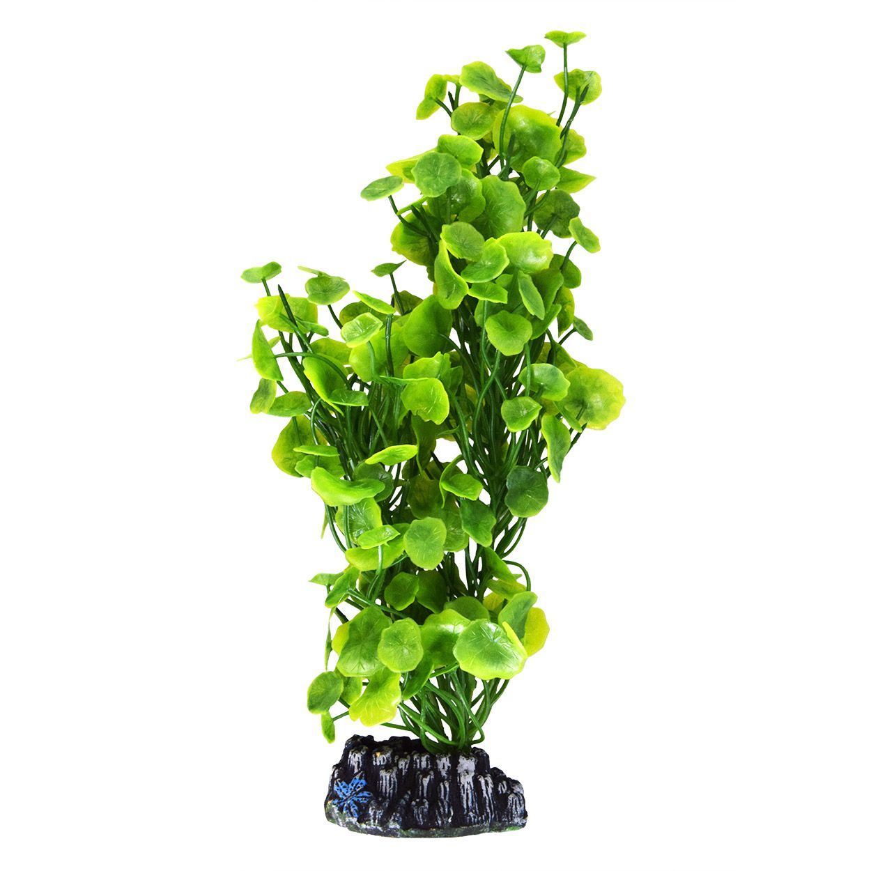 Ivy Bendy - 10&#39;&#39;