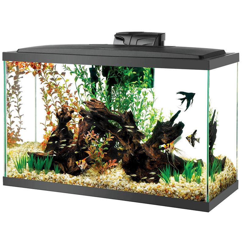 LED Aquarium Kit Aqueon - 29 gal