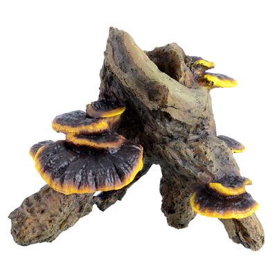 Root with Mushroom - Medium