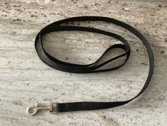 Black leash for dog and cat