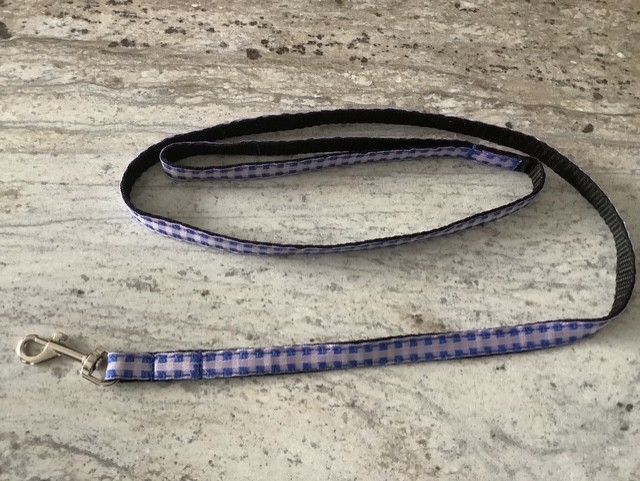 Blue leash for dog and cat