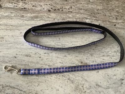 Blue leash for dog and cat