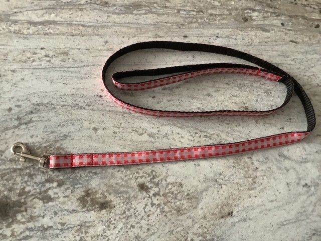 Red leash for dog and cat
