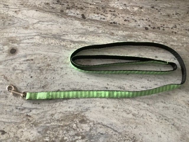 Green leash for dog and cat