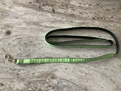 Green leash for dog and cat