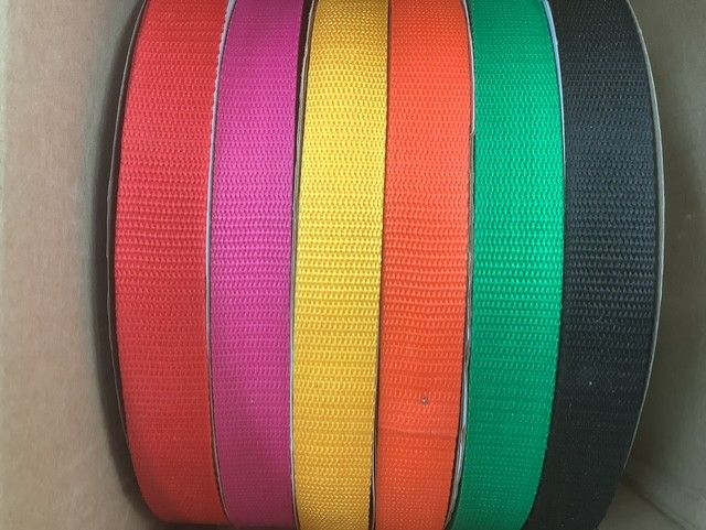 Large format dog and cat leash