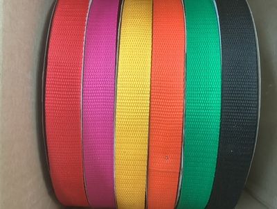 Large format dog and cat leash Large format dog and cat leash