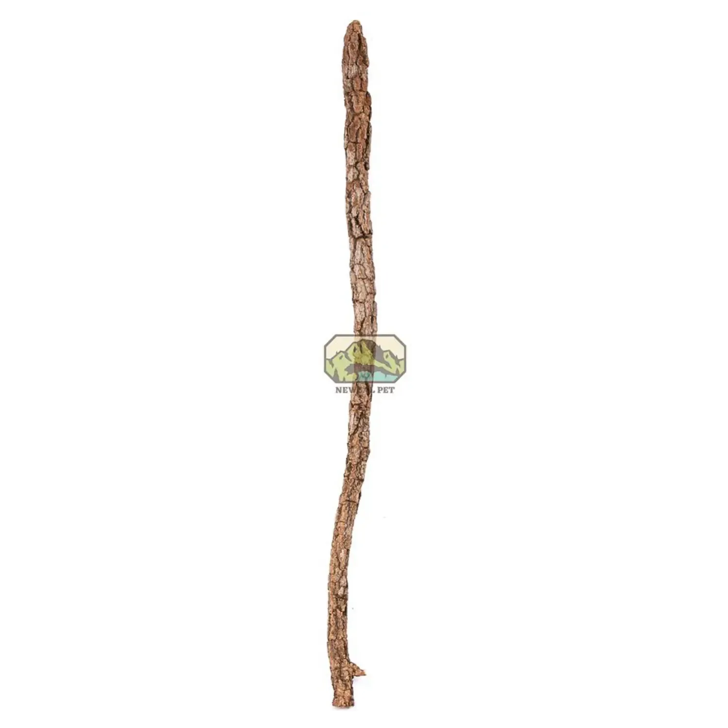 Natural Cork Branch Galho Estrela 24'' Natural Cork Branch Galho Estrela 24''