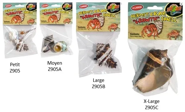 Shell for hermit crabs