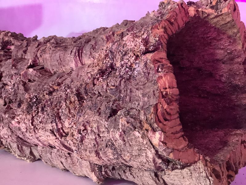 Écorce de liège naturel Rond / Natural cork bark Round Écorce de liège naturel Rond / Natural cork bark Round