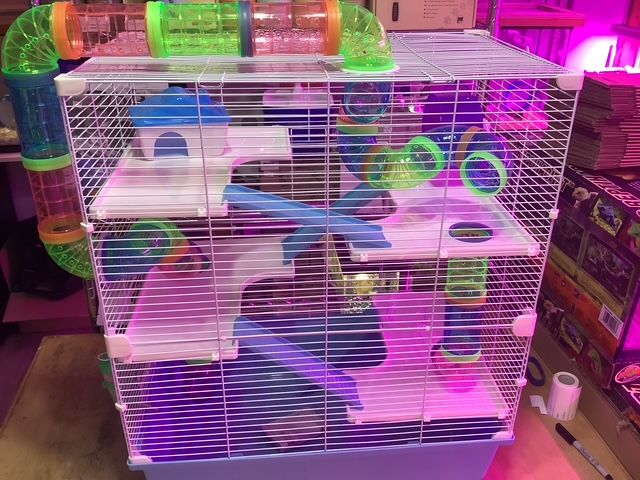 Large Rodent Cage