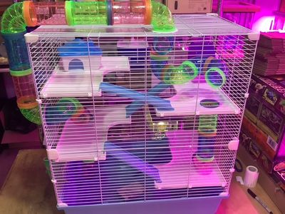 Large Rodent Cage