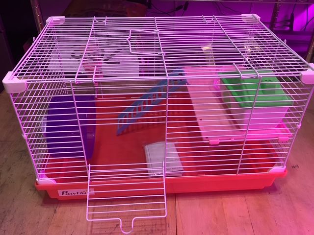 Small red rodent cage