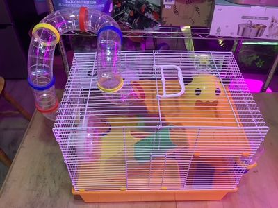 Medium Yellow tunnel rodent cage
