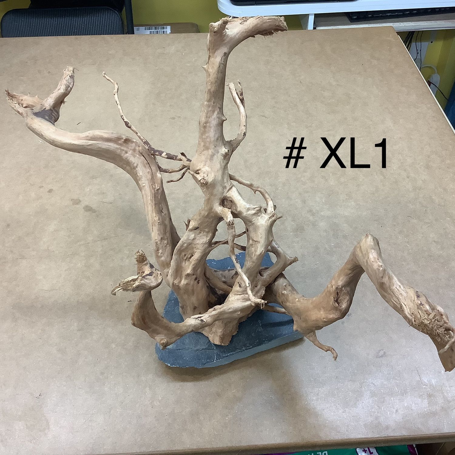 Aquarium or terrarium wood branch with slate at the base. XL