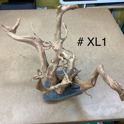Aquarium or terrarium wood branch with slate at the base. XL