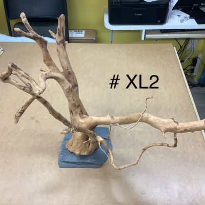 Aquarium or terrarium wood branch with slate at the base. XL