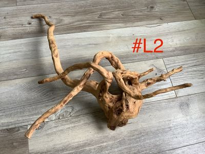 Wood Branch for terrariums and aquariums Large