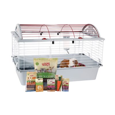 Luxury equipped cage for Guinea Pig
