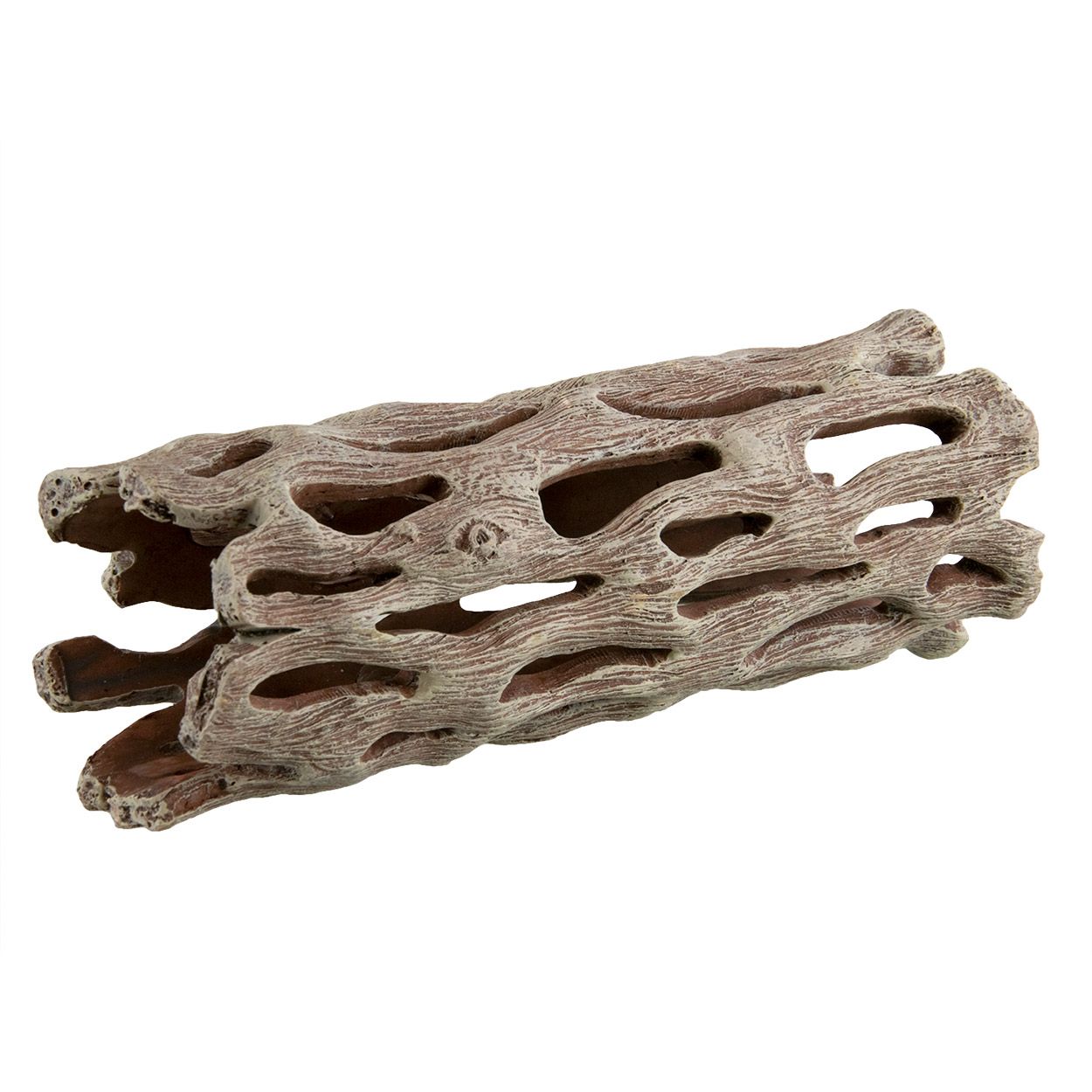 Cholla wood Medium (imitation)