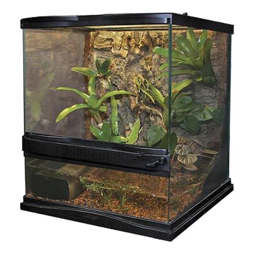 Zoomed Naturalistic Terrarium - 18" x 18" x 18"