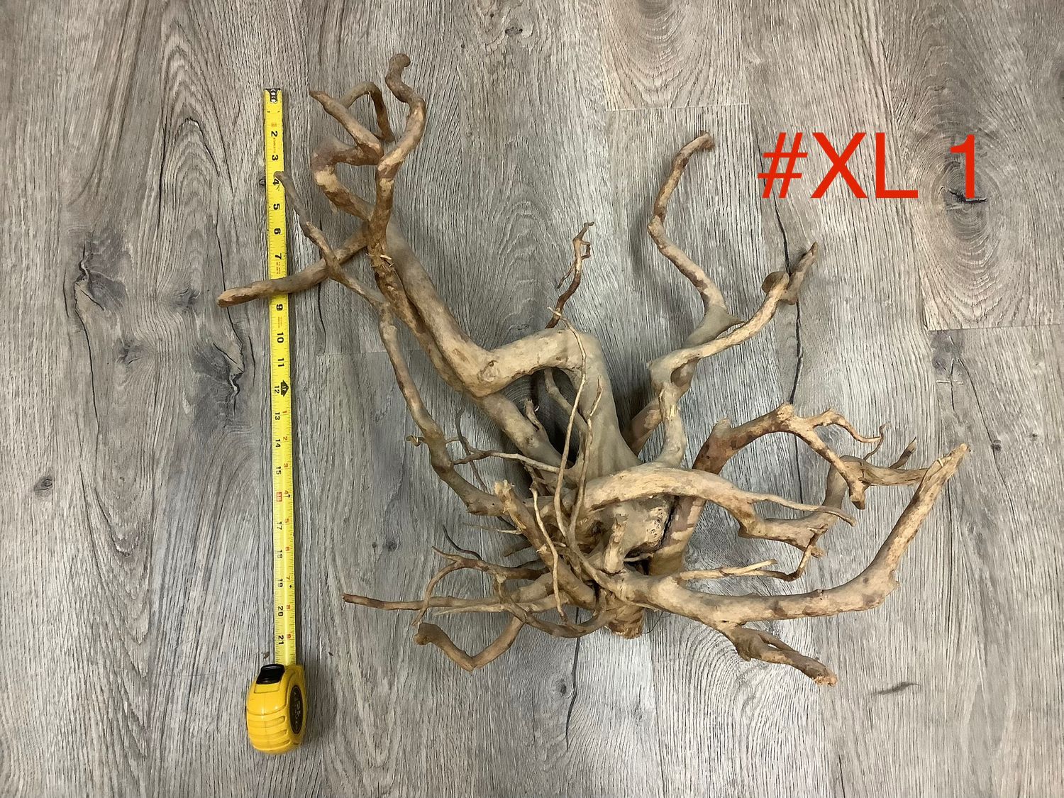 Wood Branch for terrariums and aquariums XL