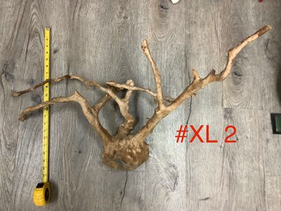 Wood Branch for terrariums and aquariums XL
