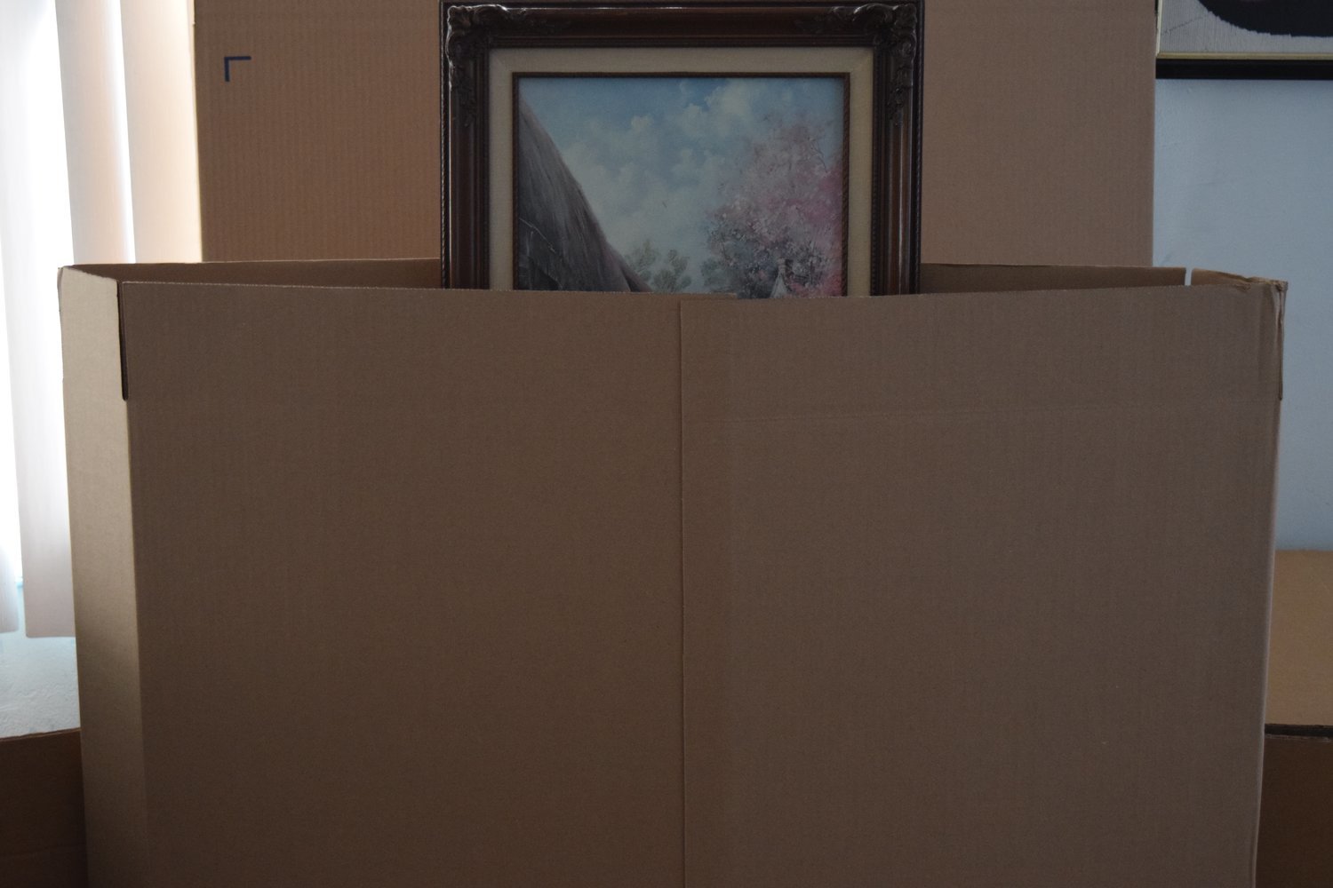 L2 Picture/Mirror Box outer