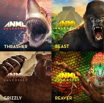 ANML Unleashed