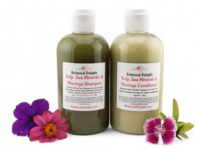 Kelp Moringa &amp; Sea Minerals Scalp Balancing Botanical Shampoo and Conditioner