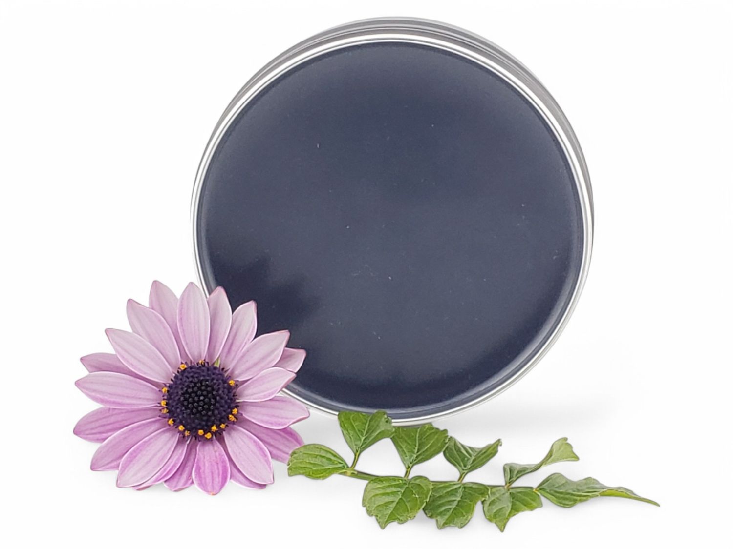 Indigo Naturalis Skin Salve - Indigo Naturalis, Oregon Grape Root