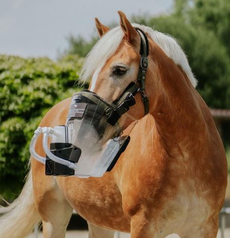 Equisonic free Ultraschallinhalationsmaske mit Akku