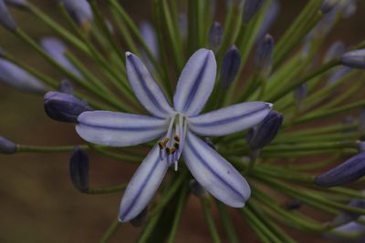 Your actions speak louder than your words