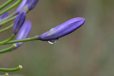 “Dropping my labels”