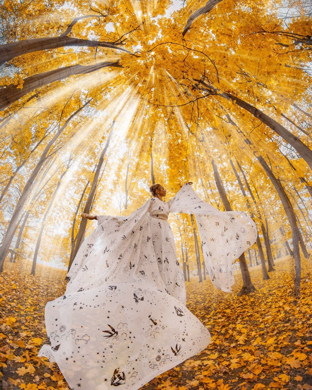 Unisex classic tee 222