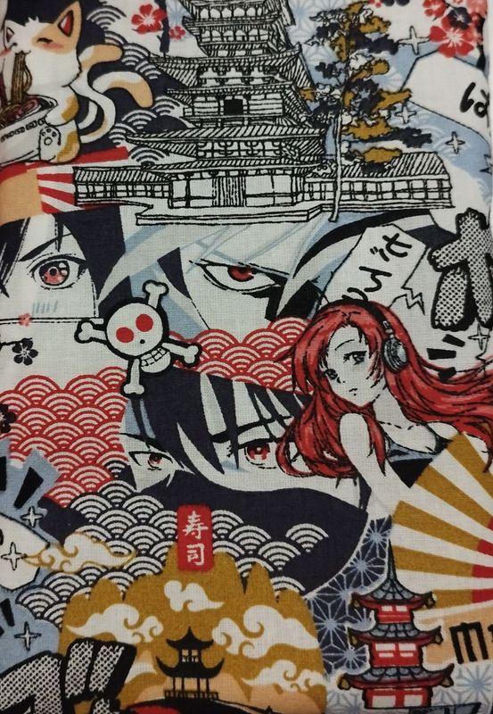 Pochette livre Otaku