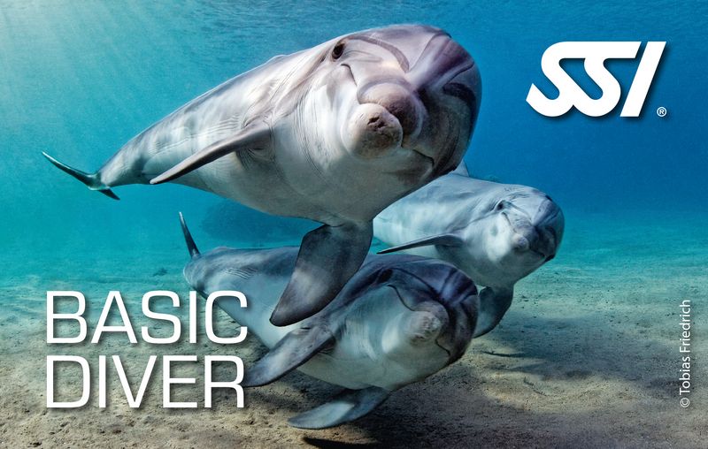 Basic Diver Experience