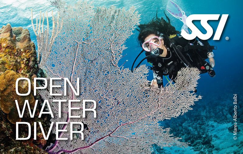 Upgrade naar Open Water Diver