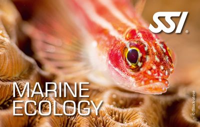 Marine Ecology Specialty