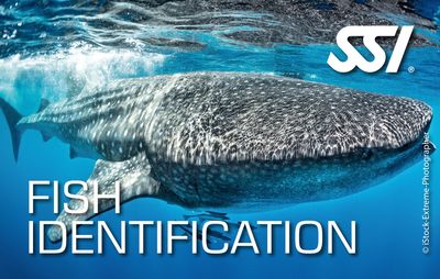 Fish Identification Specialty