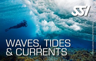 Waves, Tides &amp; Currents Specialty