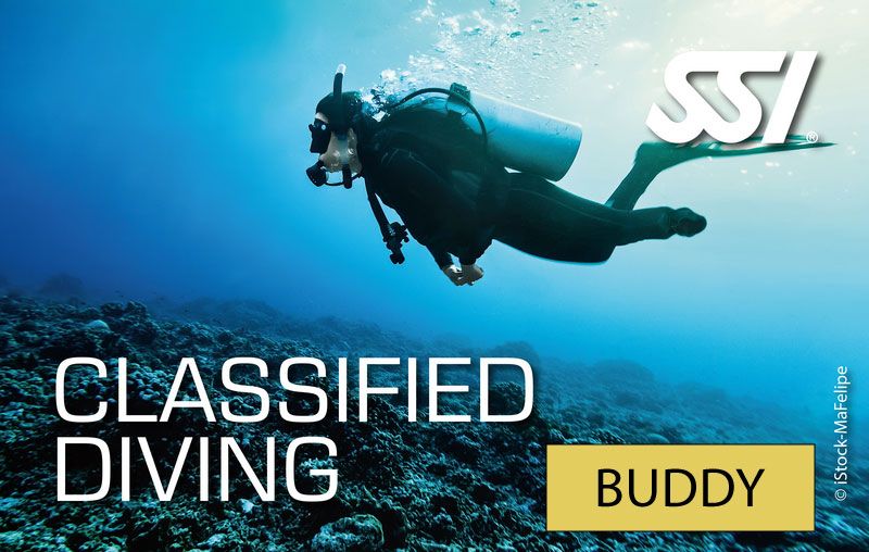 Classified Diving Buddy