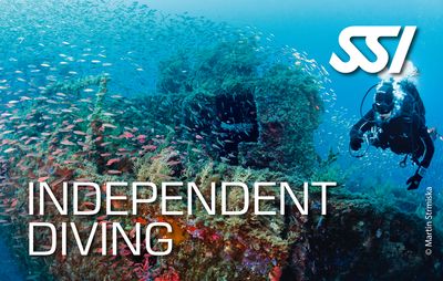 Independant Diving Specialty